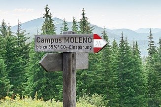 Artwork eines Wanderweg-Symbols mit der Aufschrift MOLENO in die Zukunft gerichtet